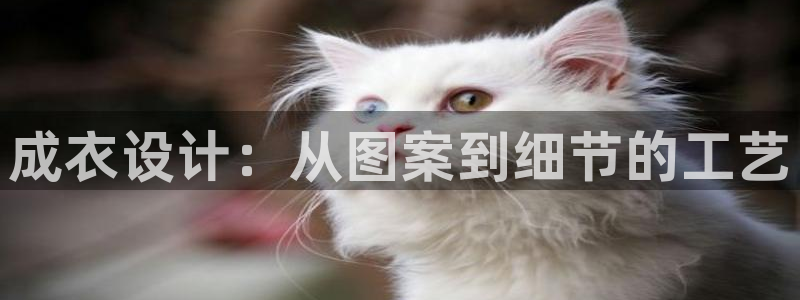 天辰娱乐ttf