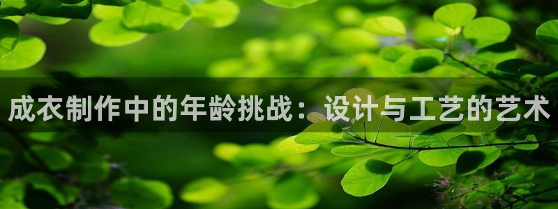 天辰娱乐简介