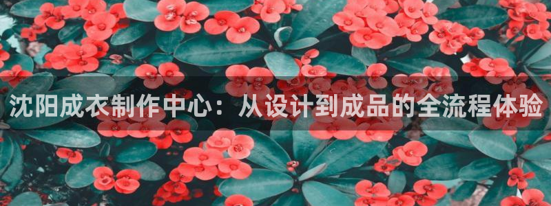 天辰娱乐指尖所