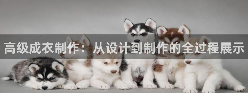 天辰娱乐 44516