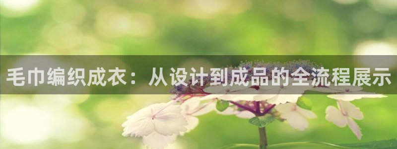 天辰宝娱乐