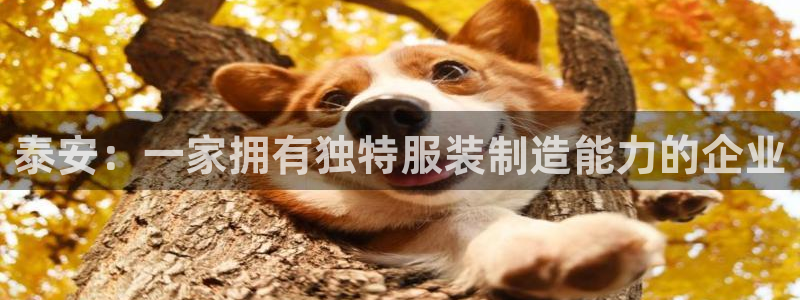 天辰娱乐游戏平台怎么样