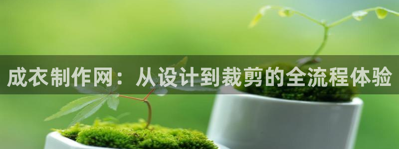 天辰娱乐主管