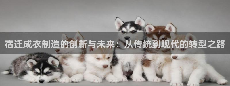 天辰娱乐ttf