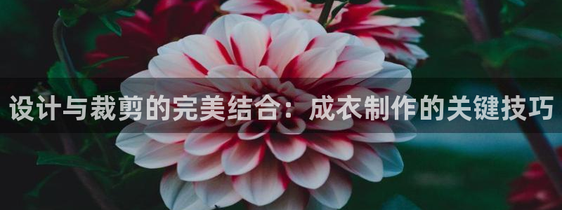天辰娱乐在线