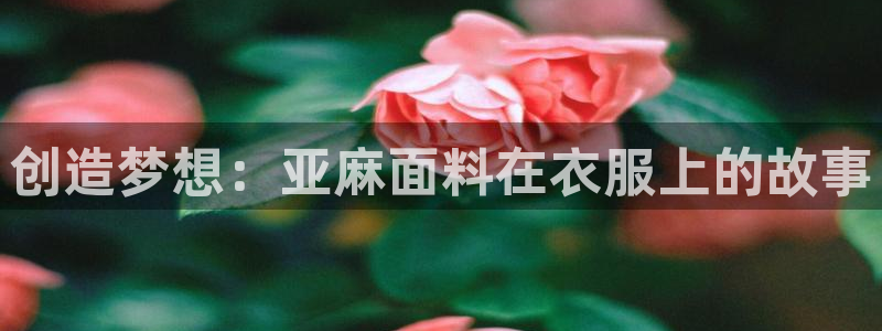 天辰娱乐总管年薪