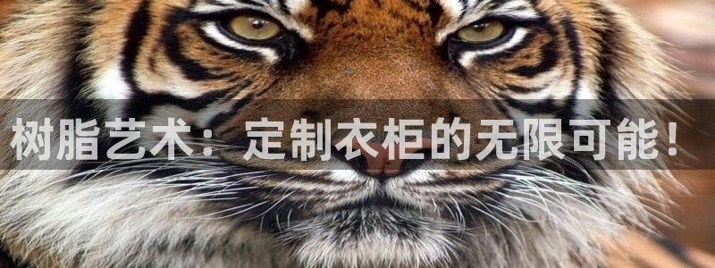 天辰娱乐主管