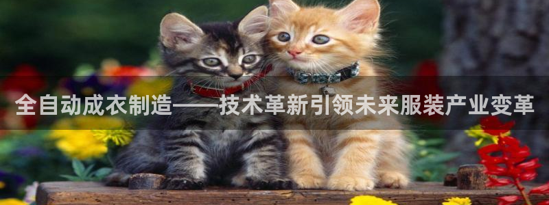 天辰娱乐主页