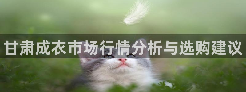 天辰a娱乐