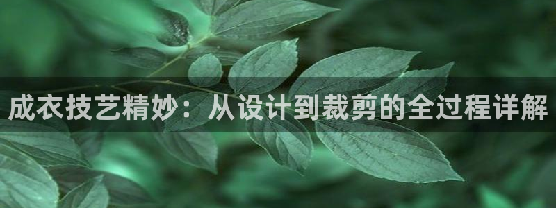 天辰娱乐APP下载