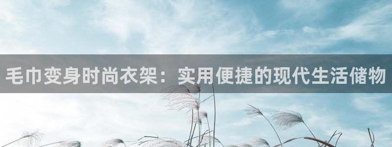 天辰娱乐老板