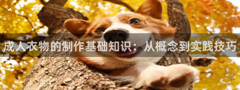 天辰娱乐平台安全吗