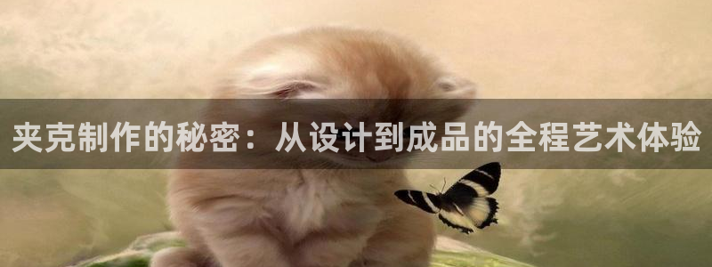 天富娱乐天辰娱乐