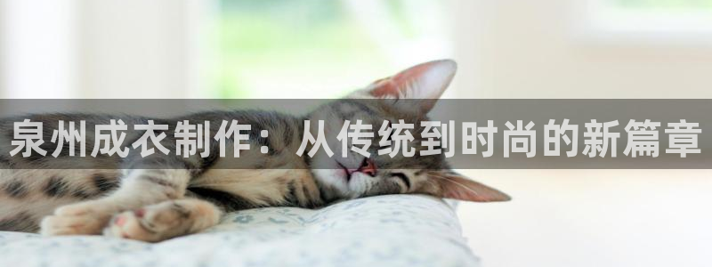 天辰臣娱乐