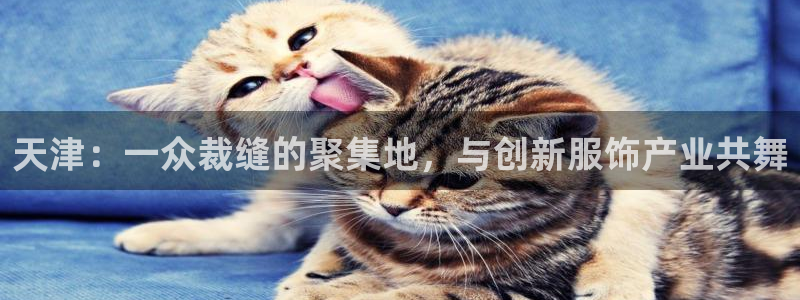 天辰说娱乐