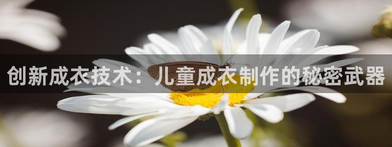 天辰娱乐 qq