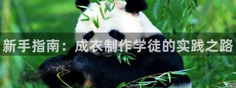 天辰娱乐路线