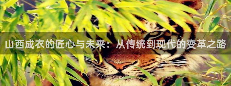 天辰娱乐台湾