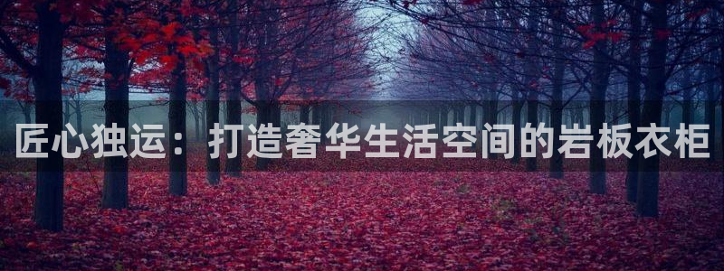 天辰娱乐84566