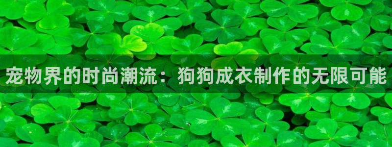 天辰娱乐下载链接