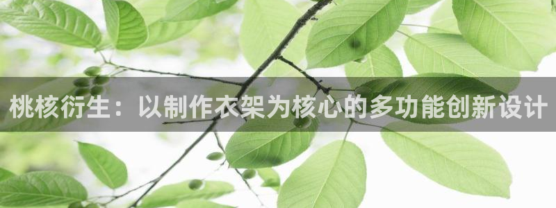 天辰娱乐53551
