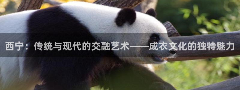 天辰娱乐平台地址在哪里