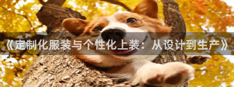 天辰娱乐best