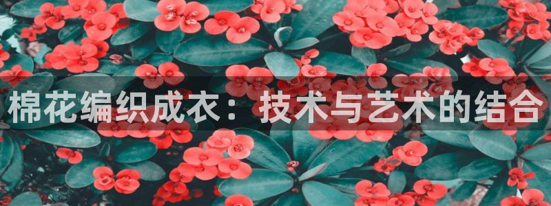 天辰娱乐平台app下载