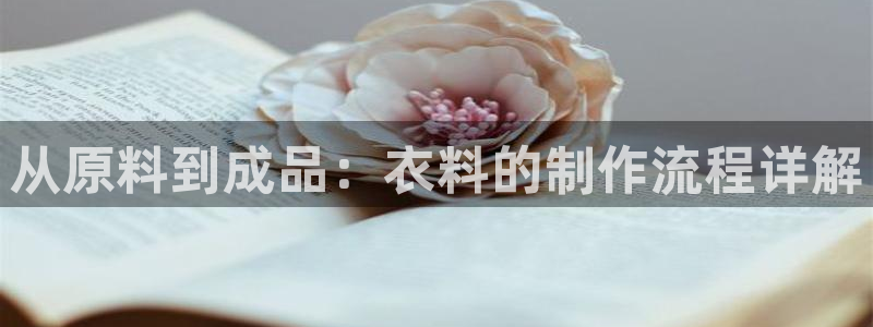 天辰娱乐小妹