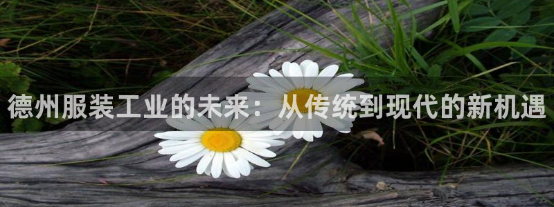 天辰平台娱乐