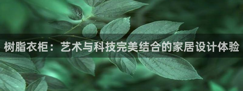 天辰娱乐 主管