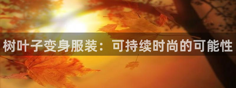 集宁天辰娱乐