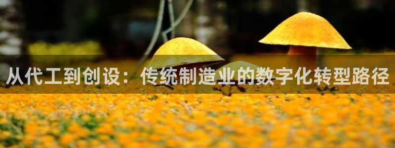 天辰娱乐简介