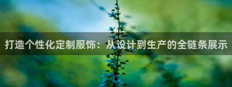 天富娱乐天辰娱乐