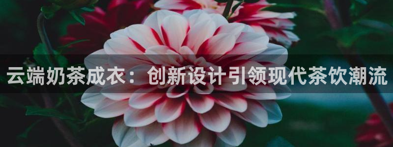 天辰娱乐地址