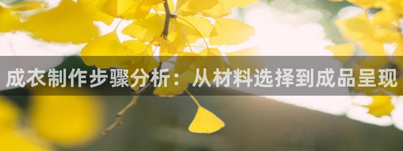 天辰娱乐登陆