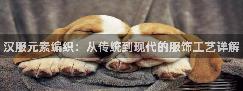 天辰娱乐分红