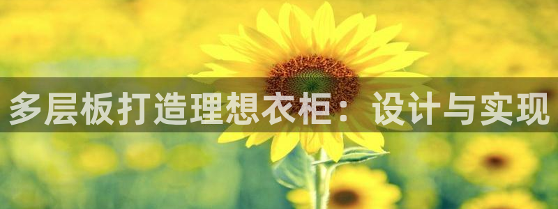 天辰娱乐海洋