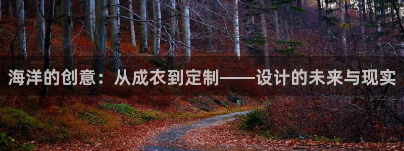 天辰娱乐游客