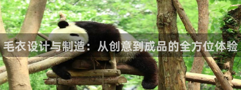 天辰娱乐招商