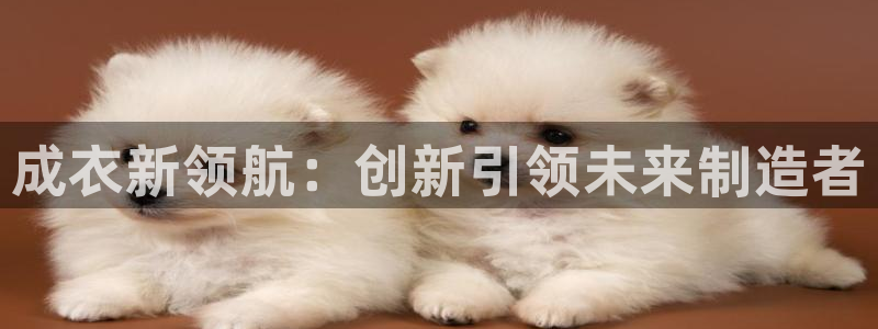 天辰娱乐内部