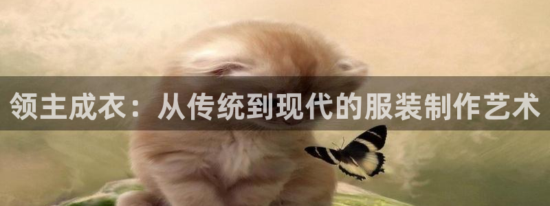 辰天娱乐用品