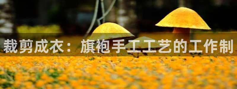 天辰娱乐内部