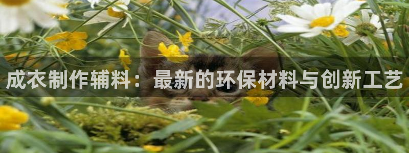 天辰娱乐平台地址