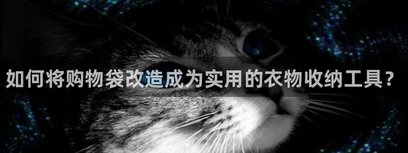 天辰娱乐1996