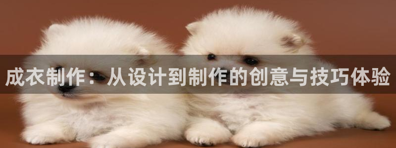 天辰娱乐小妹