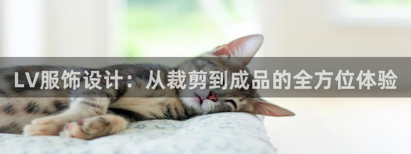 天辰娱乐官方