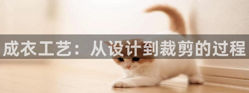 天辰臣娱乐