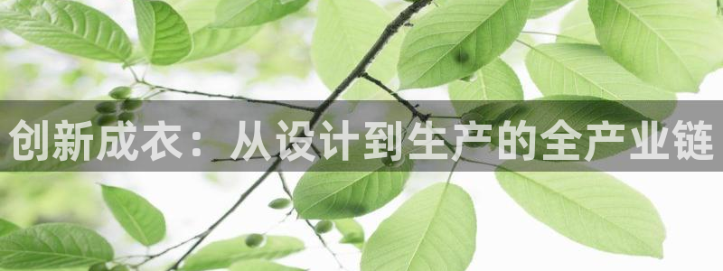 天辰娱乐官方网