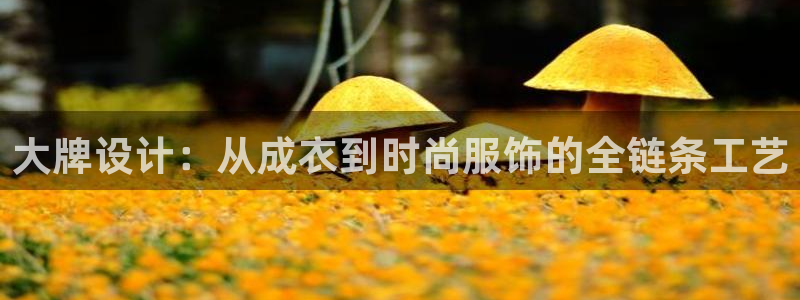 天辰娱乐台湾